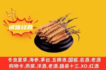 萍乡市回收冬虫夏草
